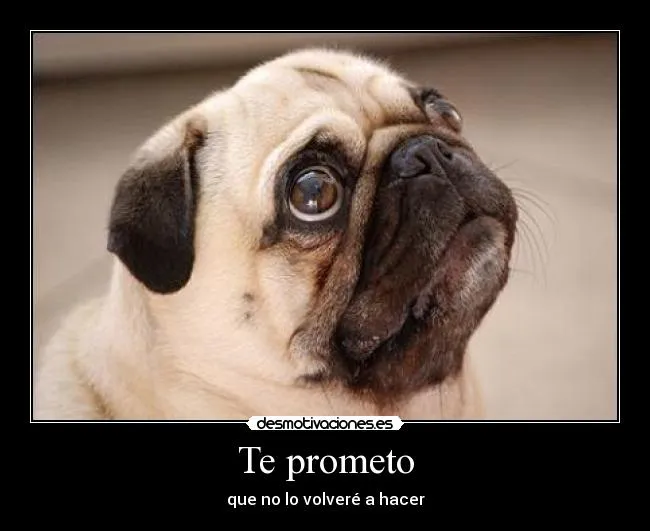 Te prometo | Desmotivaciones