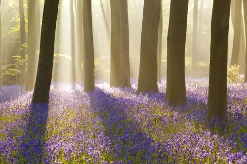 promoviendo el talento e iniciativas hispanohablantes en Holanda ...