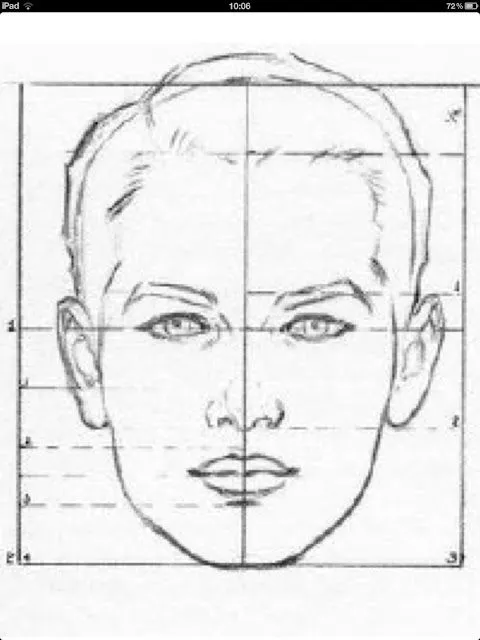 Proporción del rostro | EL RETRATO