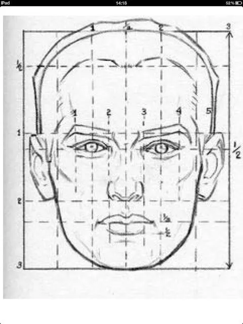 Proporción del rostro | EL RETRATO