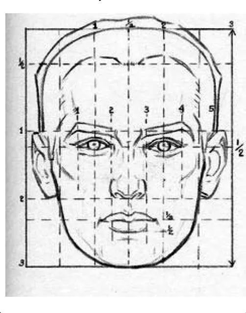 Proporción del rostro | EL RETRATO