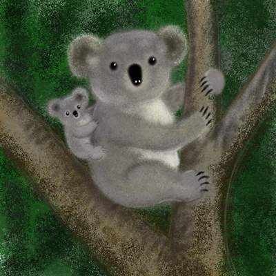 Koalas tiernos bebés - Imagui