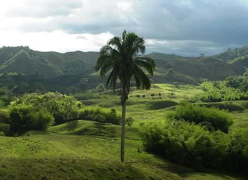 PROTEGE EL MEDIO AMBIENTE Y CUIDA TU VIDA.: LA EDUCACIÓN Y EL ...