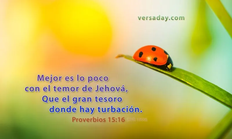 Proverbios 15:16 - Versiculo para Diciembre 5