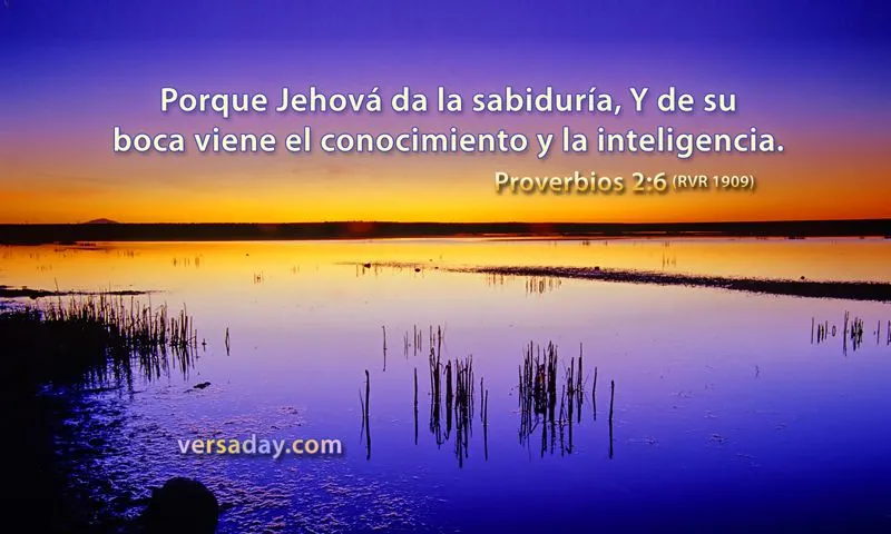 Proverbios 2:6 - Versiculo para Mayo 19