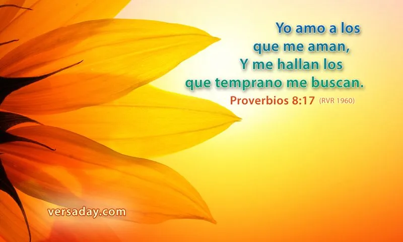 Proverbios 8:17 - Versiculo para Agosto 30