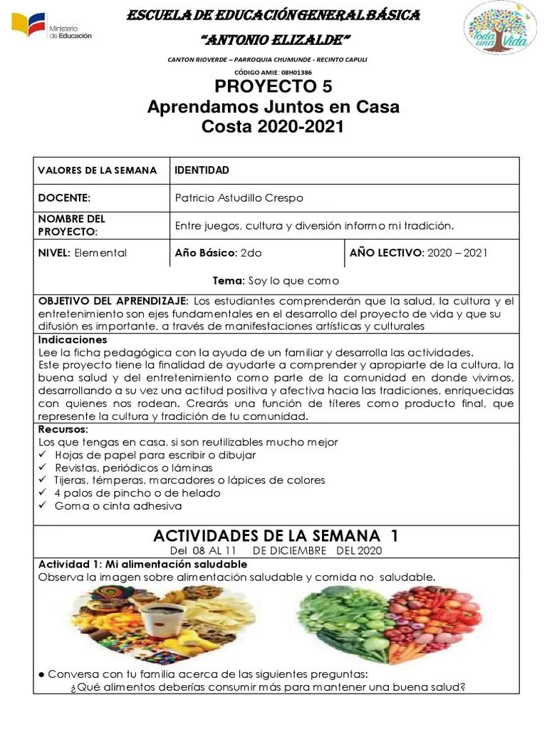 Proyecto 5 de 2do | PDF | Alimentos