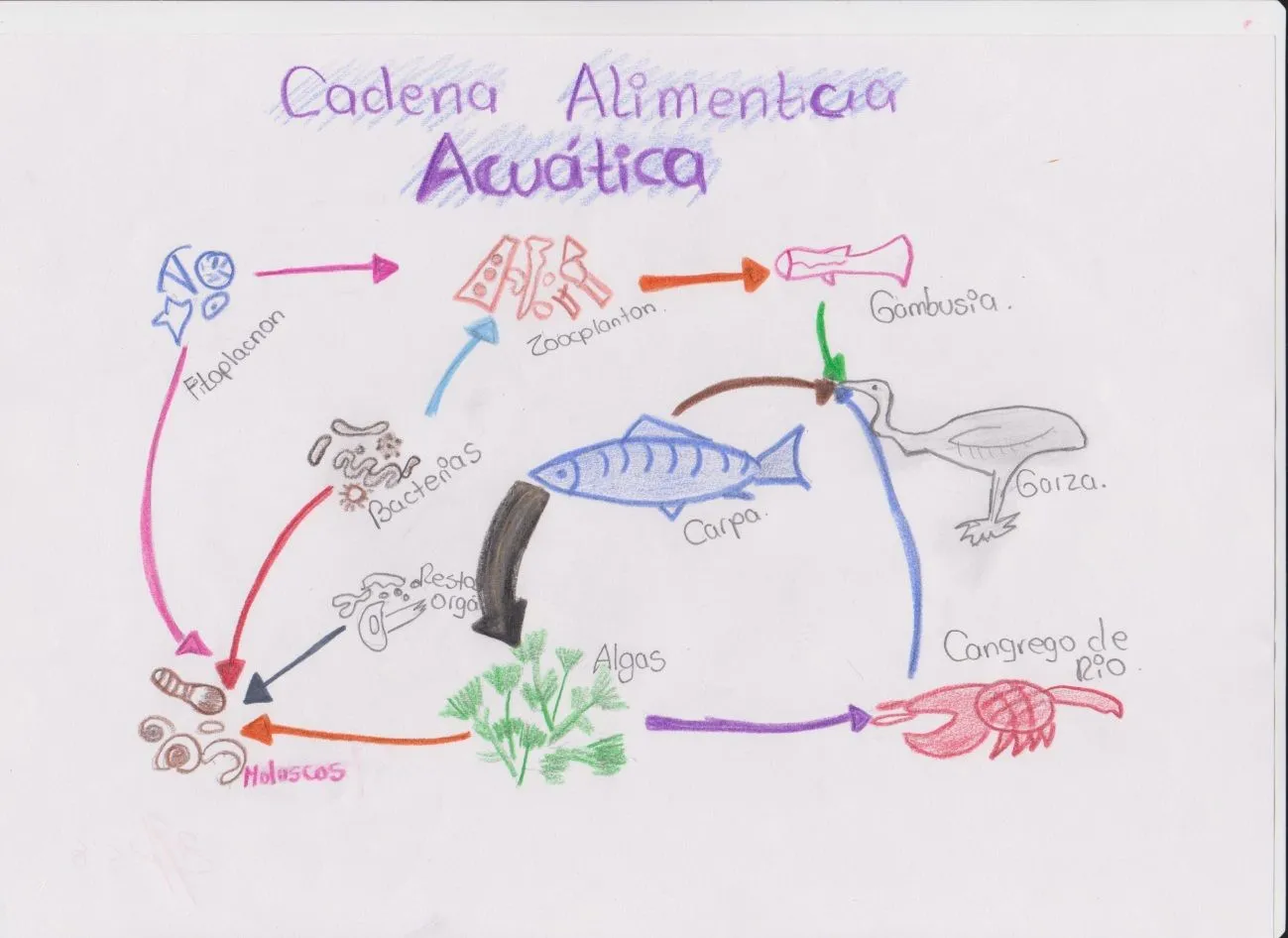 Proyecto de aula de BIOLOGIA Jass