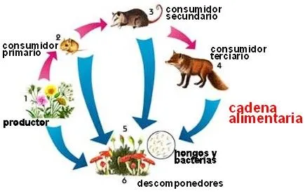 Proyecto de aula de BIOLOGIA Jass