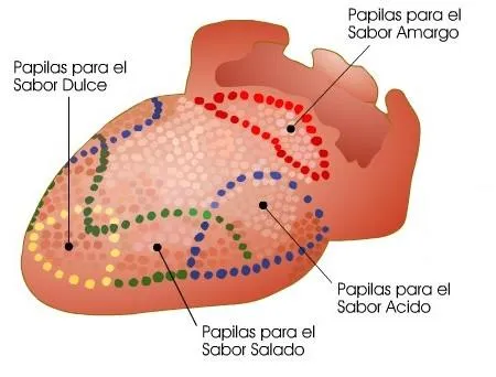 PROYECTO DE AULA GRADO 2º: Ciencias Naturales