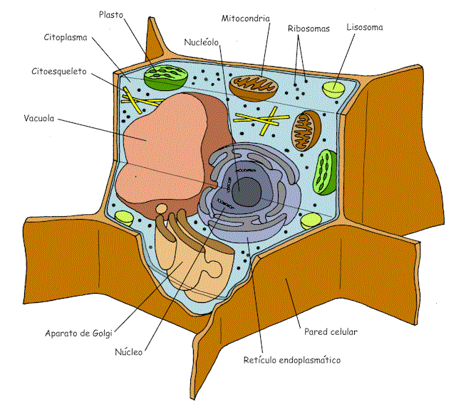 Proyecto Biosfera