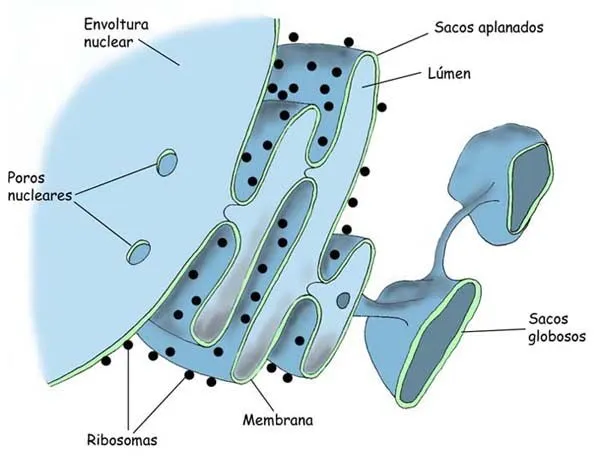 Proyecto Biosfera