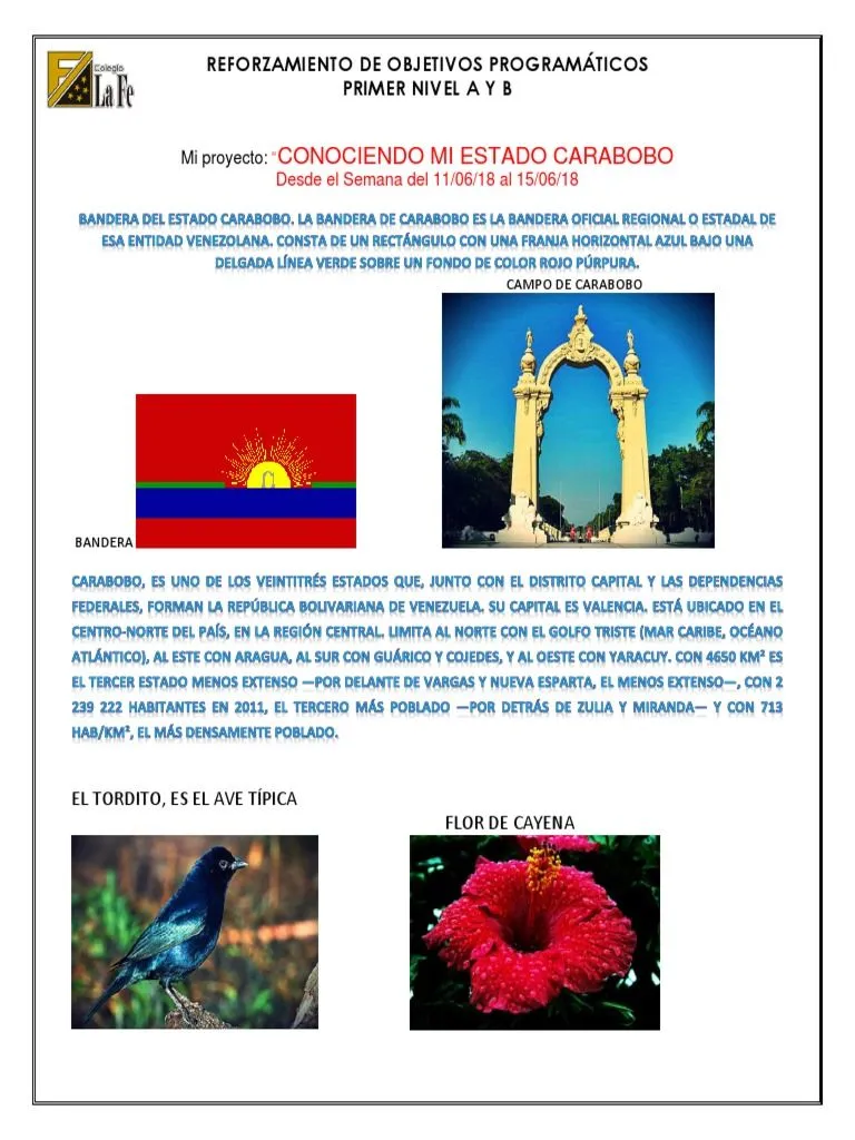 Proyecto Conociendo Mi Estado Carabobo | PDF | Creatividad