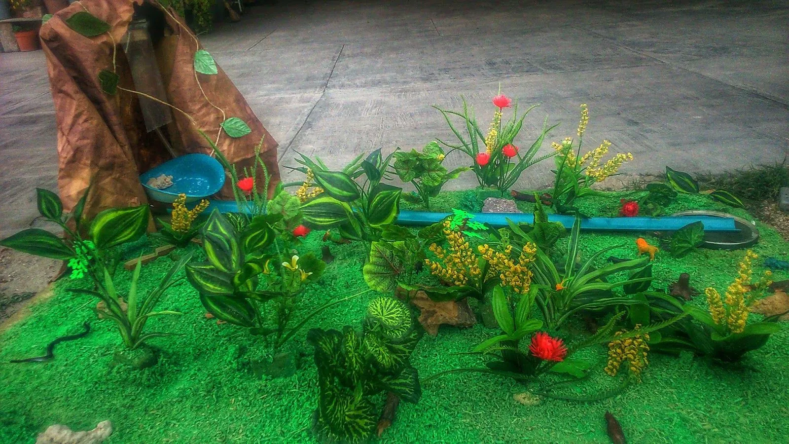 Proyecto de Ecología Selva Tropical Húmeda