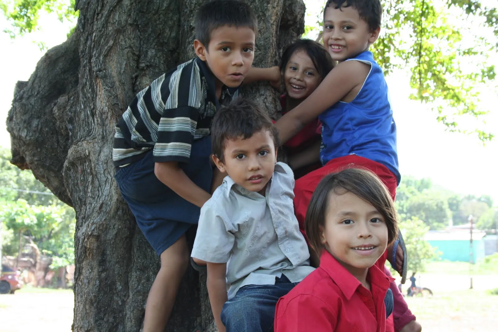 Proyecto Generando Vida: Los niños del recreo