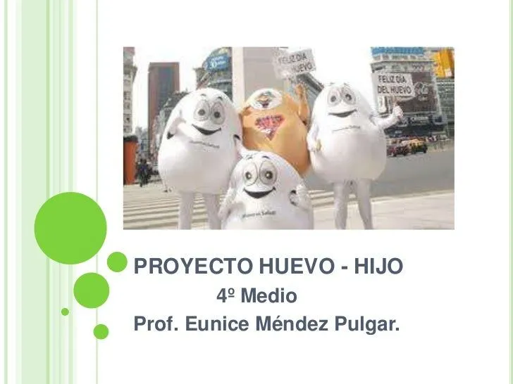 Proyecto Huevo Hijo