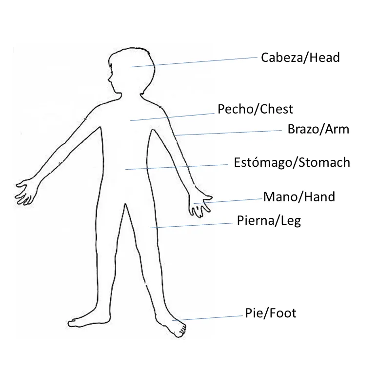 Proyecto Inglés: Partes del Cuerpo. Actividad #1