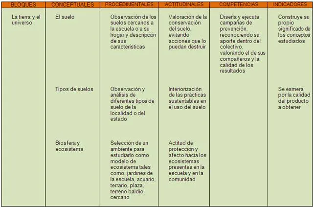 Proyecto: Plantas para decorar “Mi escuela” - Monografias.