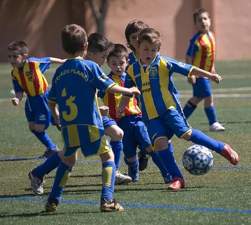 Proyecto "Cancha de fútbol 5"