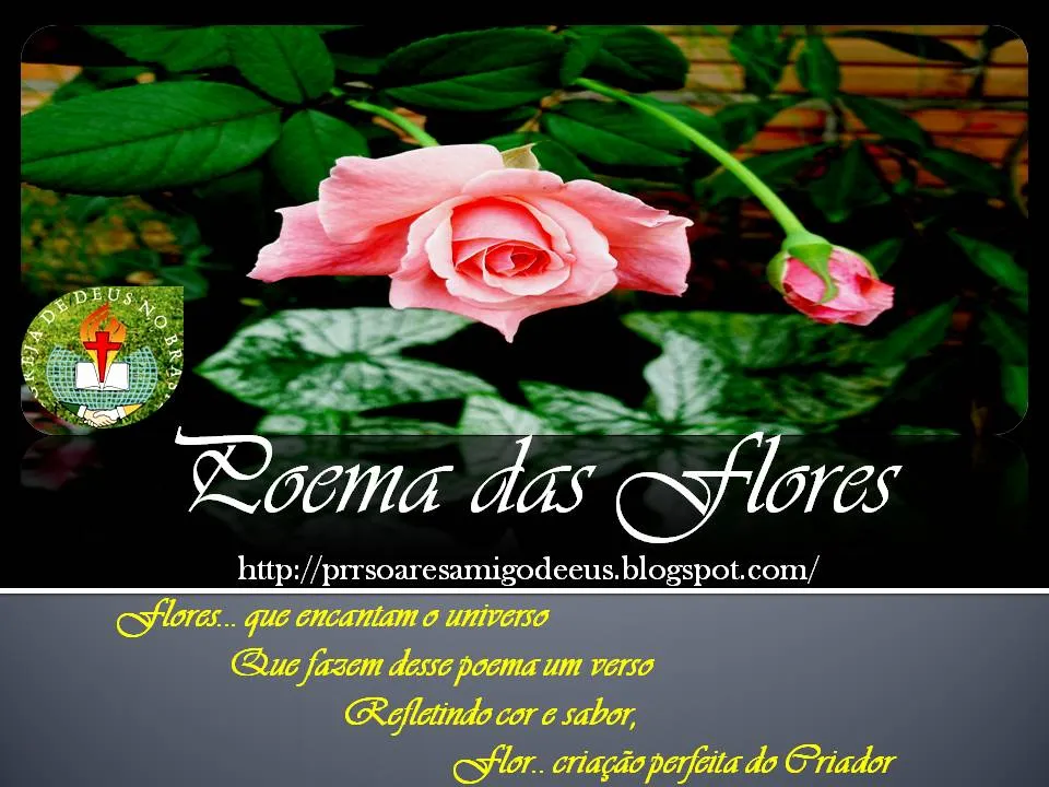 prrsoares: POEMA DAS FLORES. ( Raimundo Soares de Andrade)