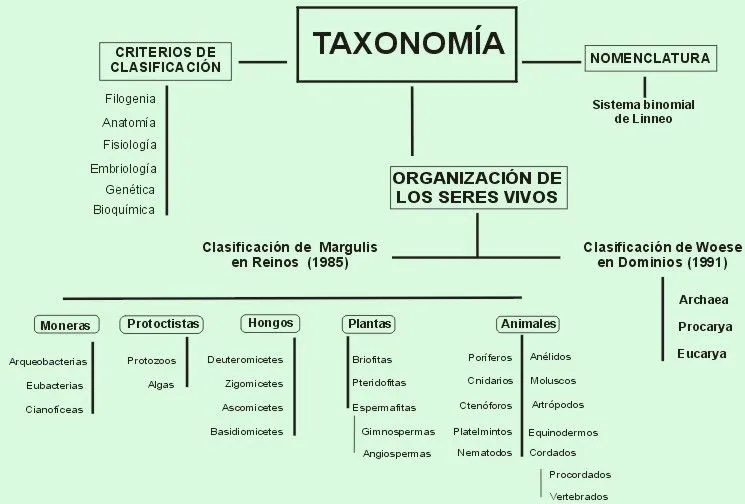 Pruebas y prácticas. Hojas dispersas: Cosas que deberíamos saber ...