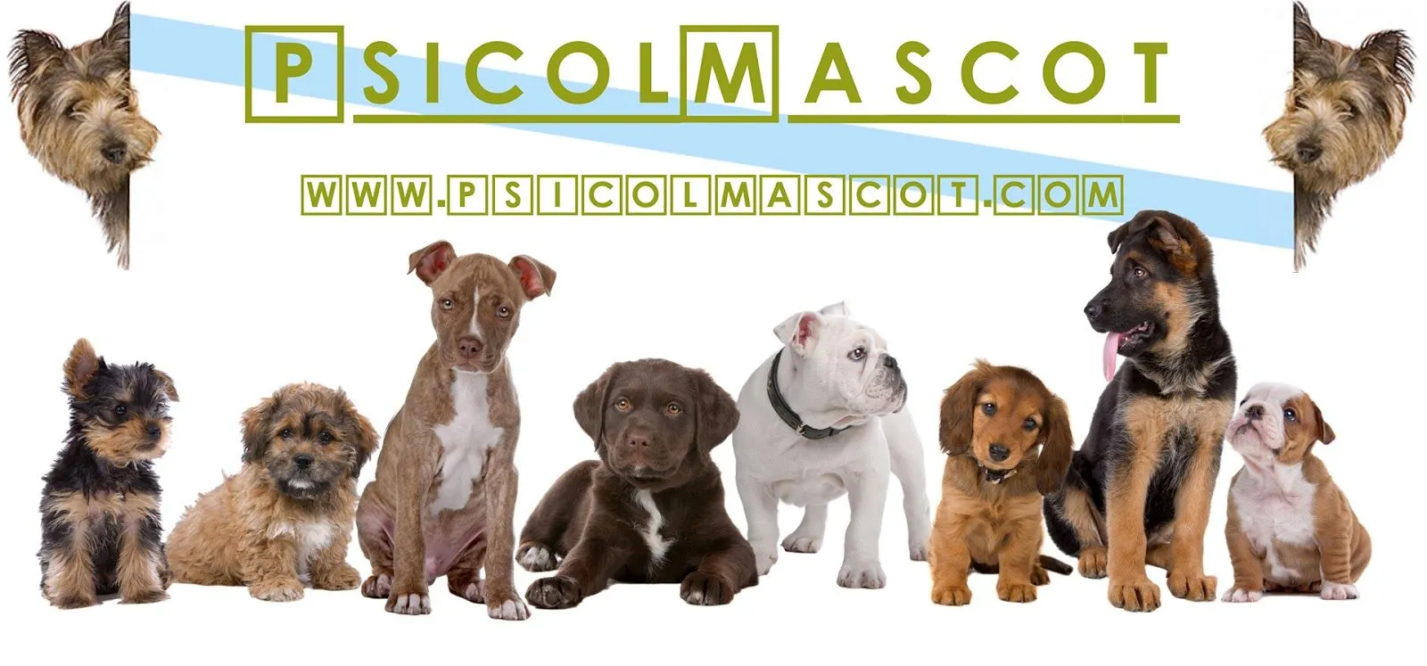 PSICOLMASCOT: Adiestrador Canino