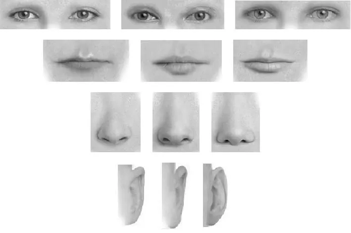 Psicología del Testimonio: Percepción Facial