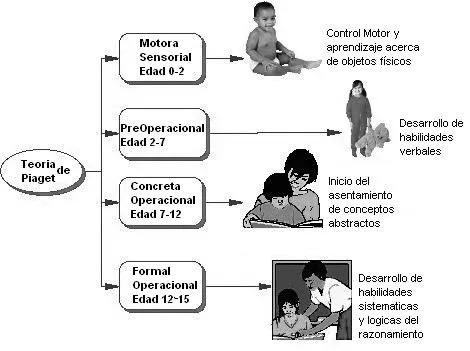 Esquema de las etapas de desarrollo humano - Imagui