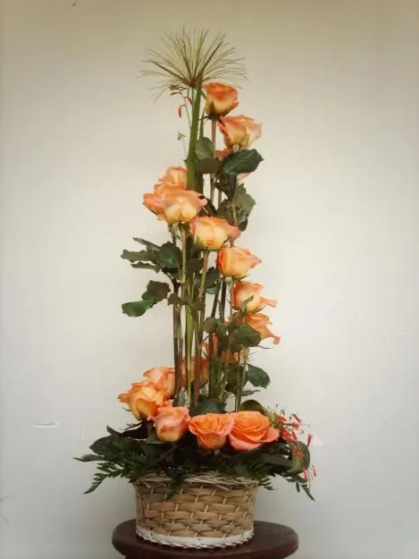 Publicado Por Florer Albafika Hay Entarios | flower | Pinterest