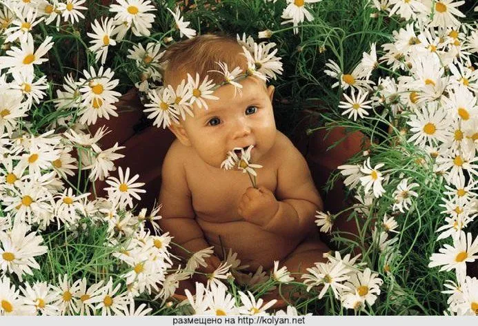 Publicado por Lucía en 15:11 1 comentarios