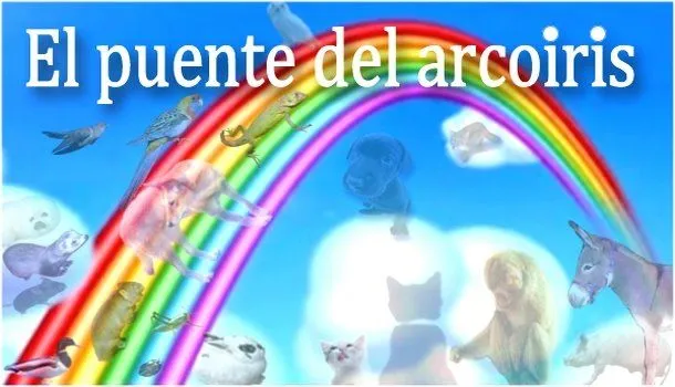 El puente del arco iris - Taringa!