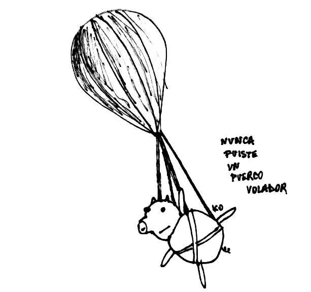 puerco volador falso | Flickr - Photo Sharing!
