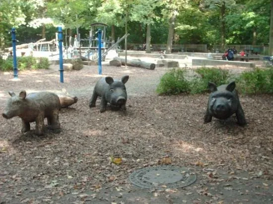 Unos puerquitos salvajes que me encontré paseando en bici ...