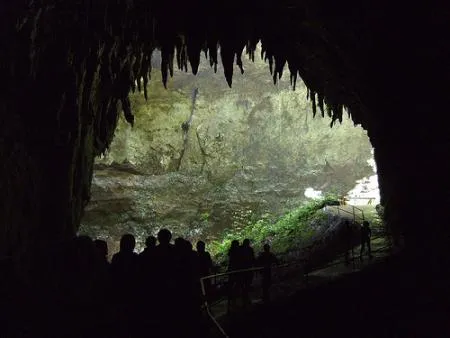 Puerto Rico Por Descubrir