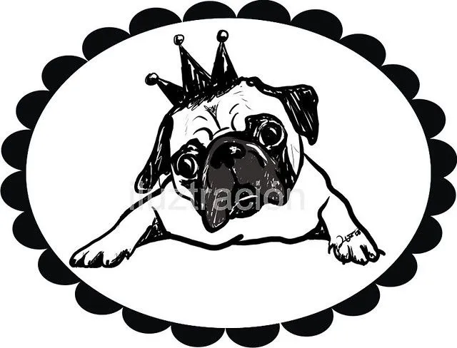 Pug en dibujo - Imagui