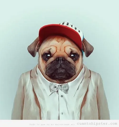 Pug | Cuánto Hipster| Cuánto Hipster | Blog muy marginal sobre ...