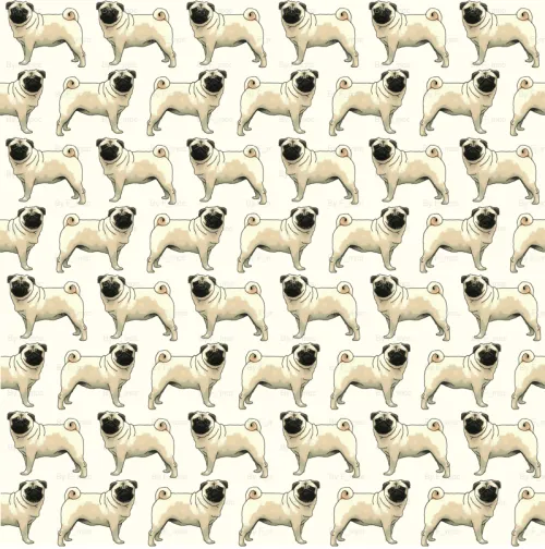 pugs pugs pugs., Pug wallpaper!