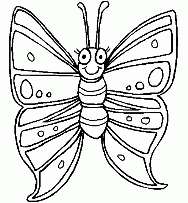 pulgón: mariposas para colorear