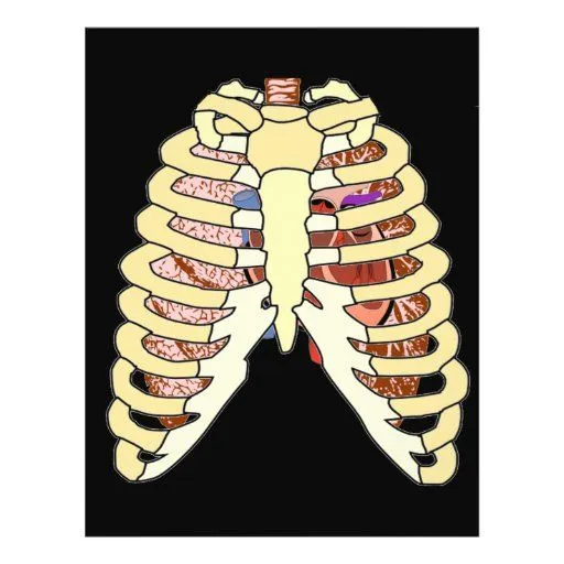 Pulmones y corazón de la caja torácica en negro flyer a todo color ...