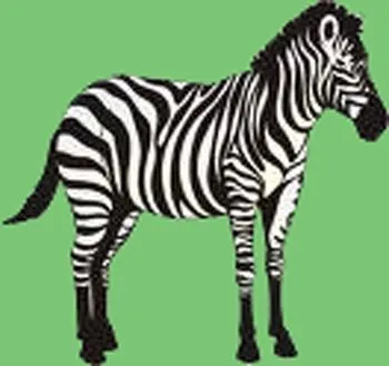 Dibujos para colorear, animales del bosque