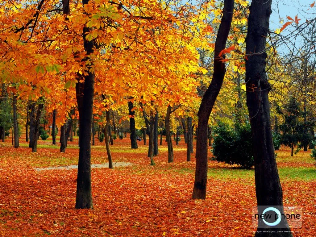 Ni un puntito somos en el Universo: El Otoño...