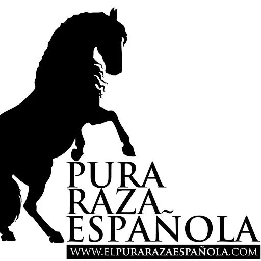 EL PURA RAZA ESPAÑOLA: MORFOLOGÍA DEL CABALLO ESPAÑOL: LA CABEZA ...