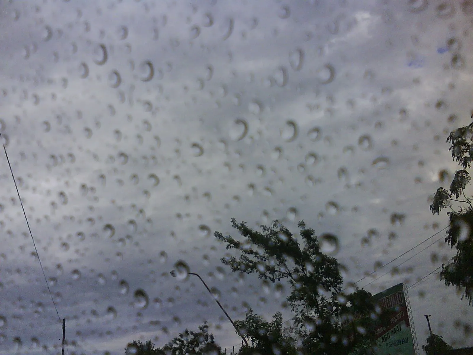 Puro cuento!: Lluvia de invierno