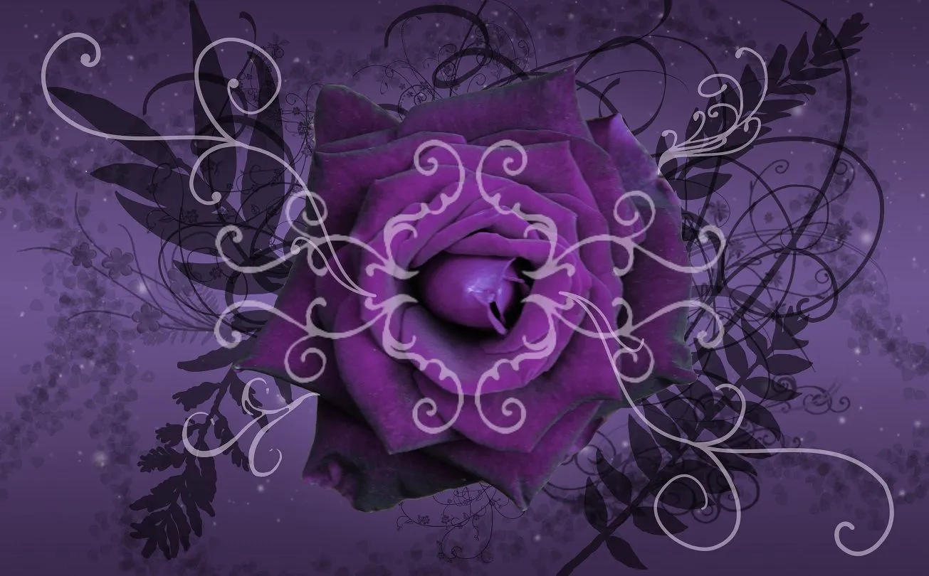 Purple_Twilight_Rose_Wallpaper ...