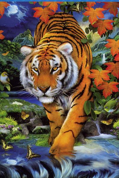 Puzzle CLEMENTONI: Puzzle de 1000 piezas PUZZLE TIGRE ( Ref ...