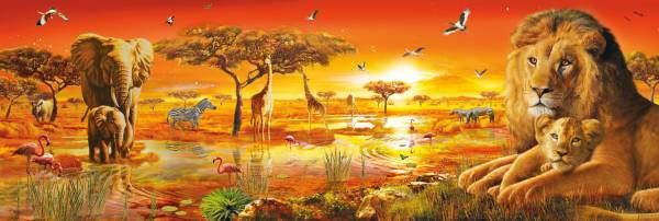 Puzzle CLEMENTONI: Puzzle de 1000 piezas puzzle sabana africana ...