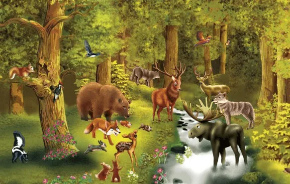 Puzzle Nivel 5: Animales del bosque | Recurso educativo 34317 ...