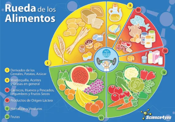 Puzzle Rueda de los alimentos, , - Libro en Fnac.es