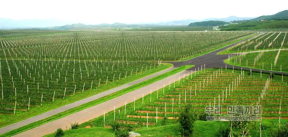 De Pyongyang a La Habana.: Zonas rurales de Corea del Norte.