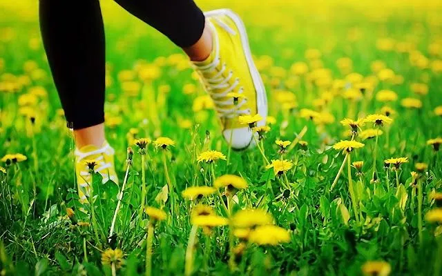 Qoltuq Yaramaz: Caminando entre las Flores Amarillas de Primavera